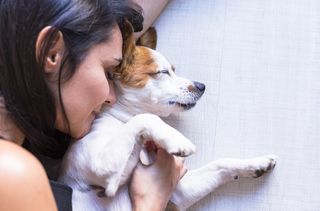dog lovers pick pet over partner