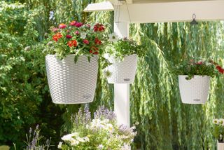 hanging basket ideas: hanging white pots from lechuza