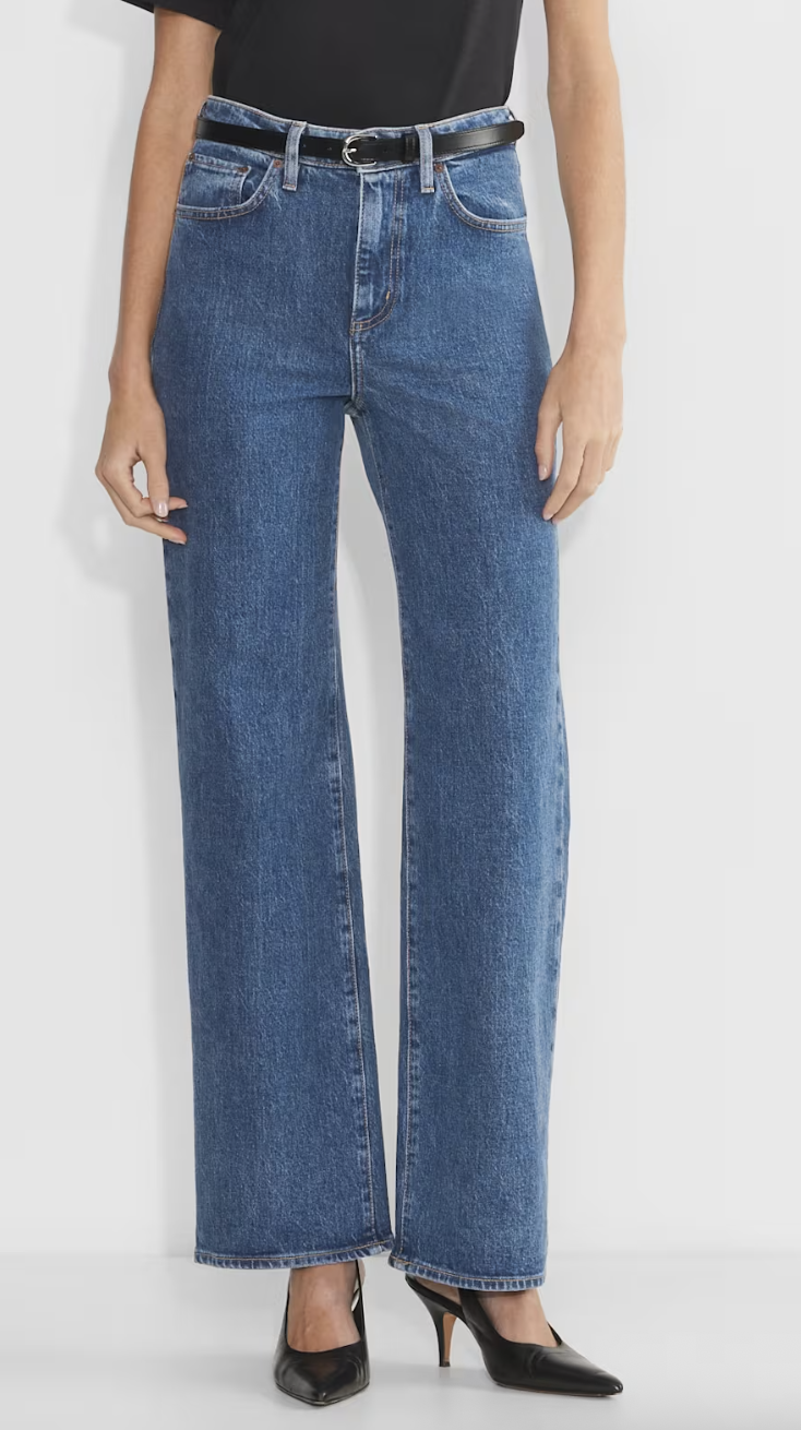 Aritzia, Remy Hi-rise Relaxed Jean