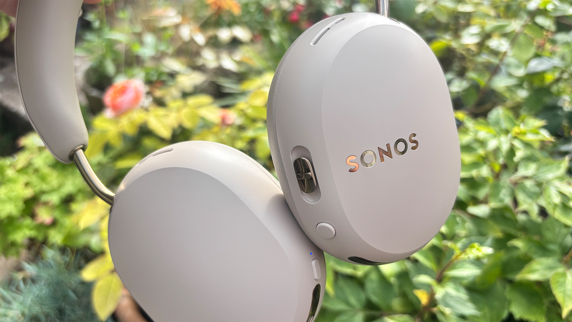 Sonos Ace Ultra wireless headphones held in front of green flowering bush