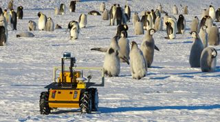 ECHO UGV monitoring penguin population