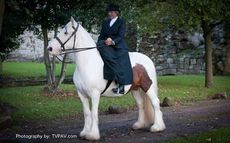 Side-saddle.jpg