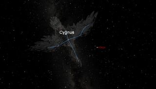 This sky map shows the configuration of stars in the constellation Cygnus (the Swan), which currently appears overhead in the night sky. The bright star Vega is identified as a reference star. The binary Kepler-16 star system, which is home to the Tatooine-like planet Kepler-16b, can be found with telescopes and binoculars within the constellation.