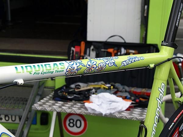 Pippo's flowery theme carries through to the top tube design (and check out the sparkly paint).