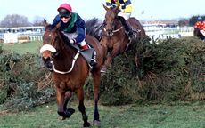 Rough-Quest-winning-Grand-National.jpg