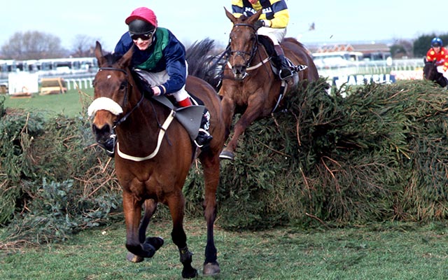 Rough-Quest-winning-Grand-National.jpg
