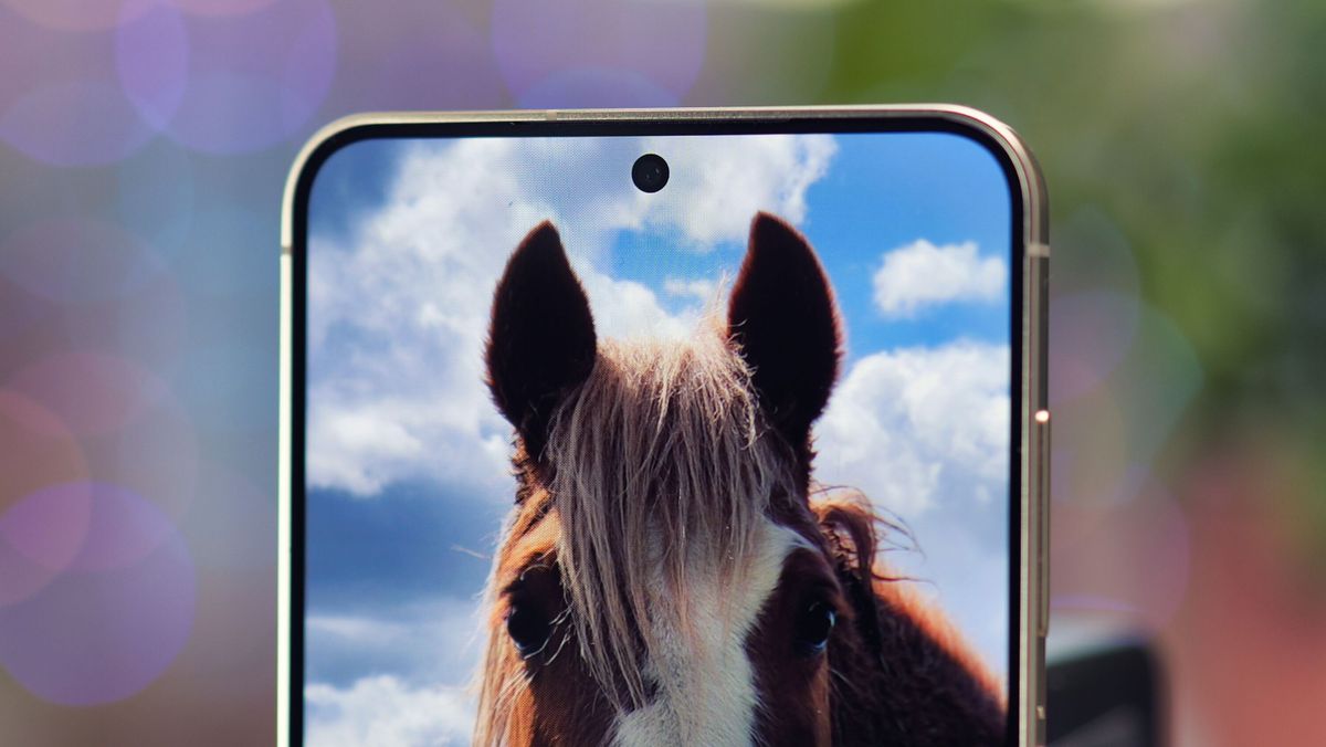 Samsung Galaxy S24 phone showing a picture of a horse close up