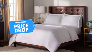 A Ritz-Carlton bed dressed in white linen luxury sheet set