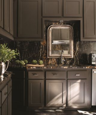 kitchen with dark brown cabinets and marbled wall