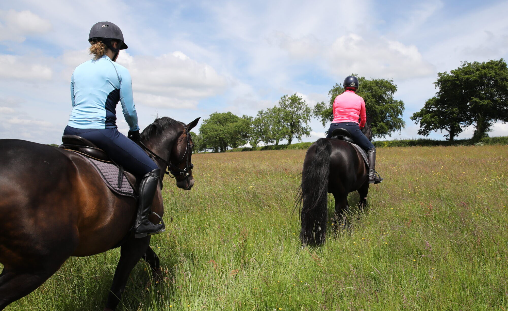 Two riders on performance horses hacking across a field