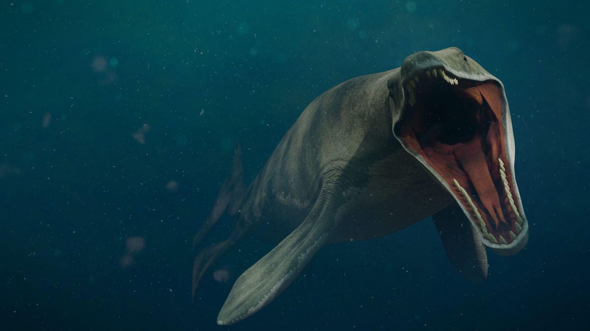 Mosasaurus and other mosasaurs of the dinosaur age | Live Science
