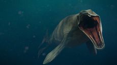An image reconstruction of a Mosasaurus swimming with its mouth open.