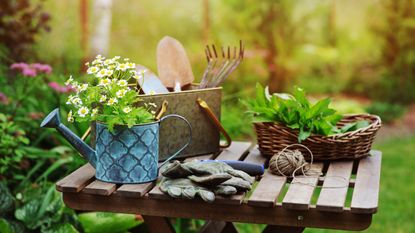 Gardening supplies on a picnic table