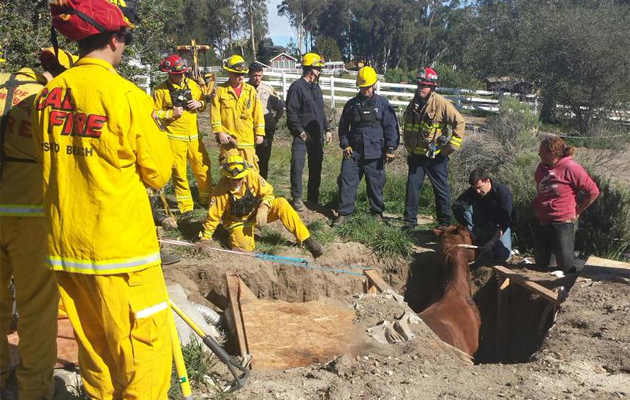sink hole