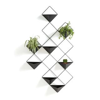 indoor wall planter