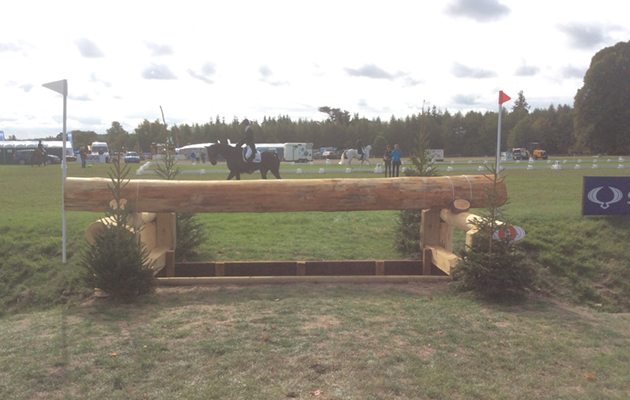 Blenheim Fences 2018