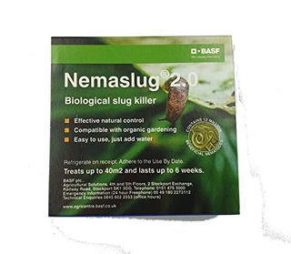 Slug Nematodes 12million (treats 40sq.m)