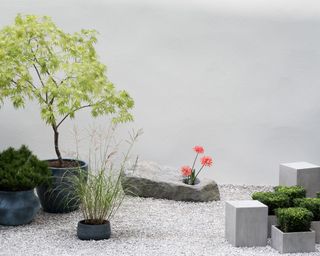 a contemporary rock garden in a Japanese style CHELSEA 2021; CONTIANER GARDEN. A TRANQUIL SPACE IN THE CITY; DESIGNER MIKA MISAWA