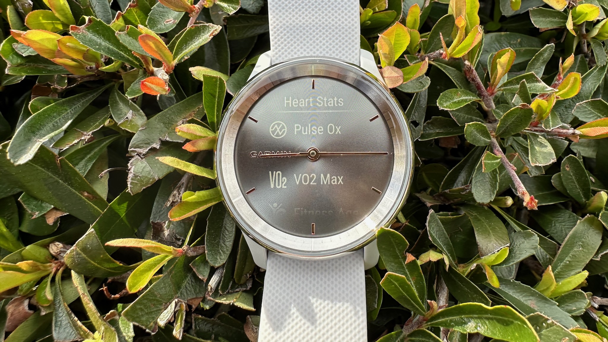 Health stat options like Pulse Ox on the Garmin vívoactive Trend