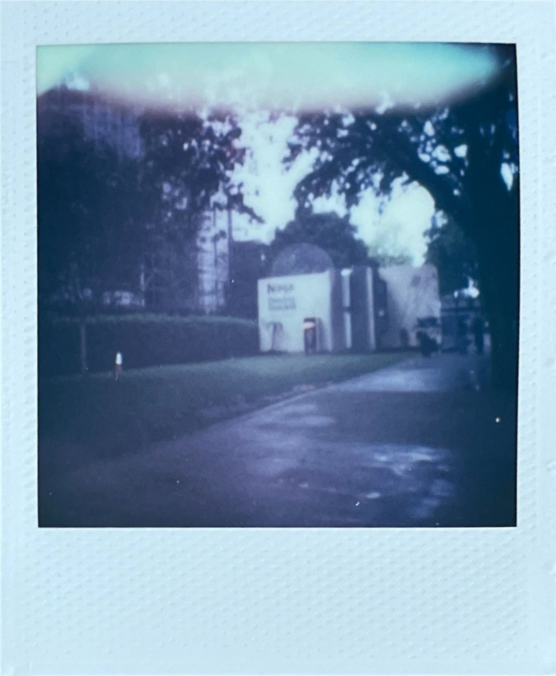 Images captured on the Polaroid Go (Gen 2) by T3's Sam Cross, and scanned using the Polaroid app