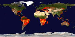 NASA's Terra satellite, with the Moderate Resolution Imaging Spectroradiometer (MODIS), captured this image of fires around the world back in 2010. 