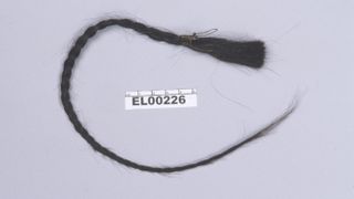 Sitting Bull's scalp lock, from which the hair sample that was analyzed was taken.