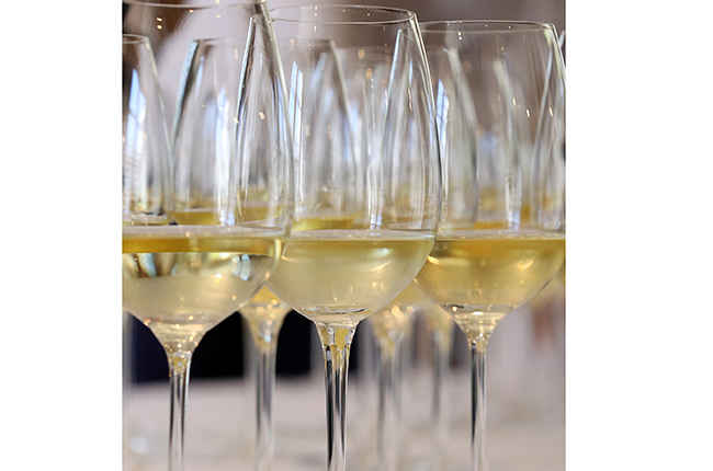 argentinian white wines