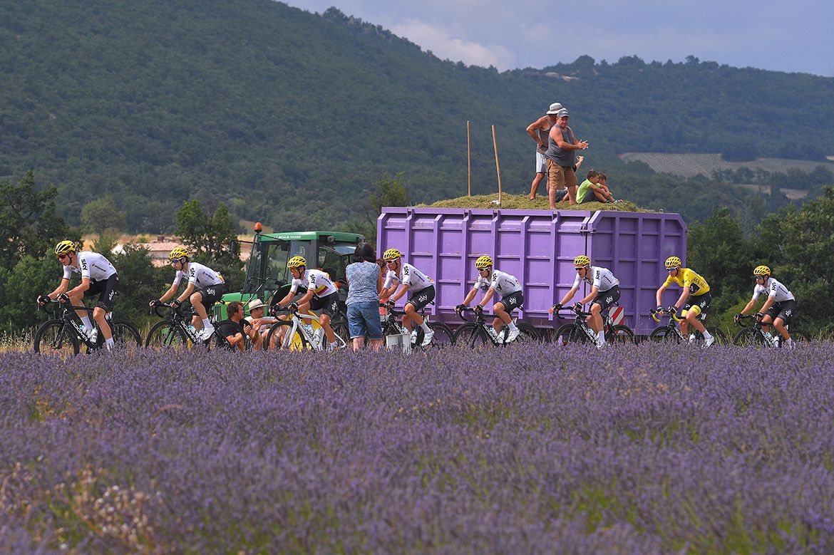 The Tour de France traded sunflowers for lavender on stage 19