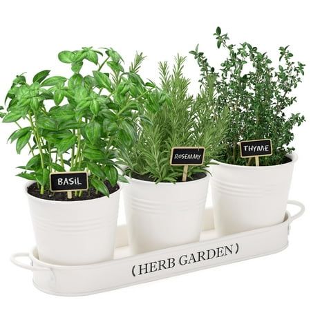 Indoor Herb Planter