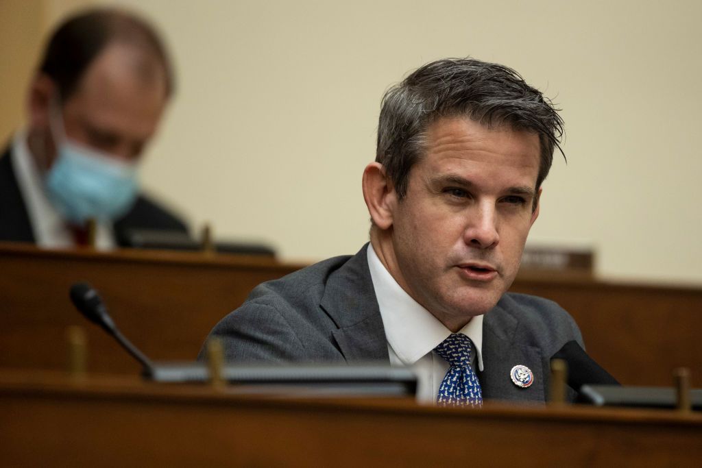 Rep. Adam Kinzinger (R-Ill.).