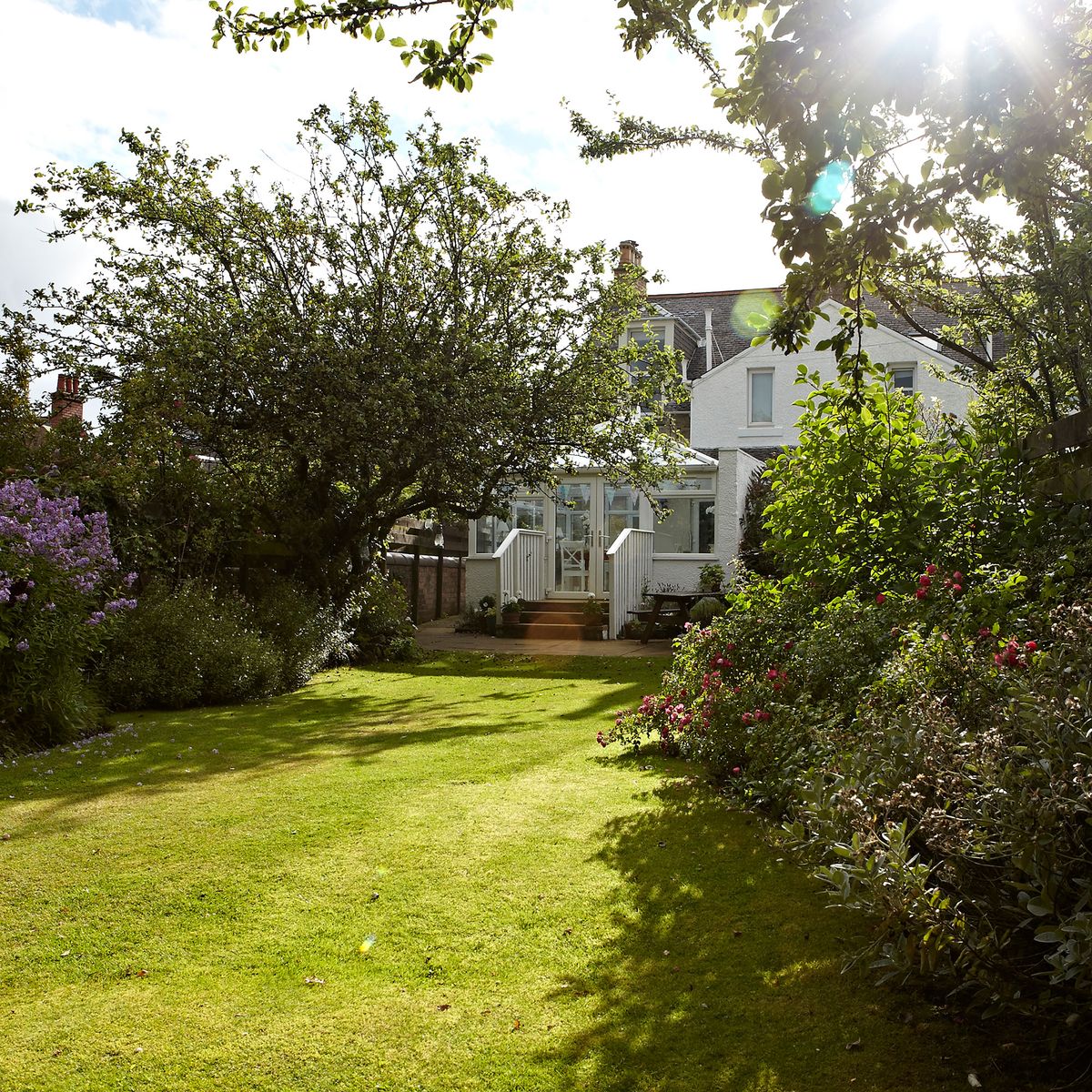 Can you water grass in the sun? The experts tell us all Ideal Home