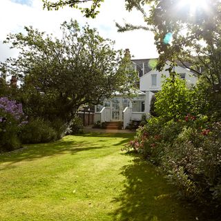 Back garden in the sun with exterior of house