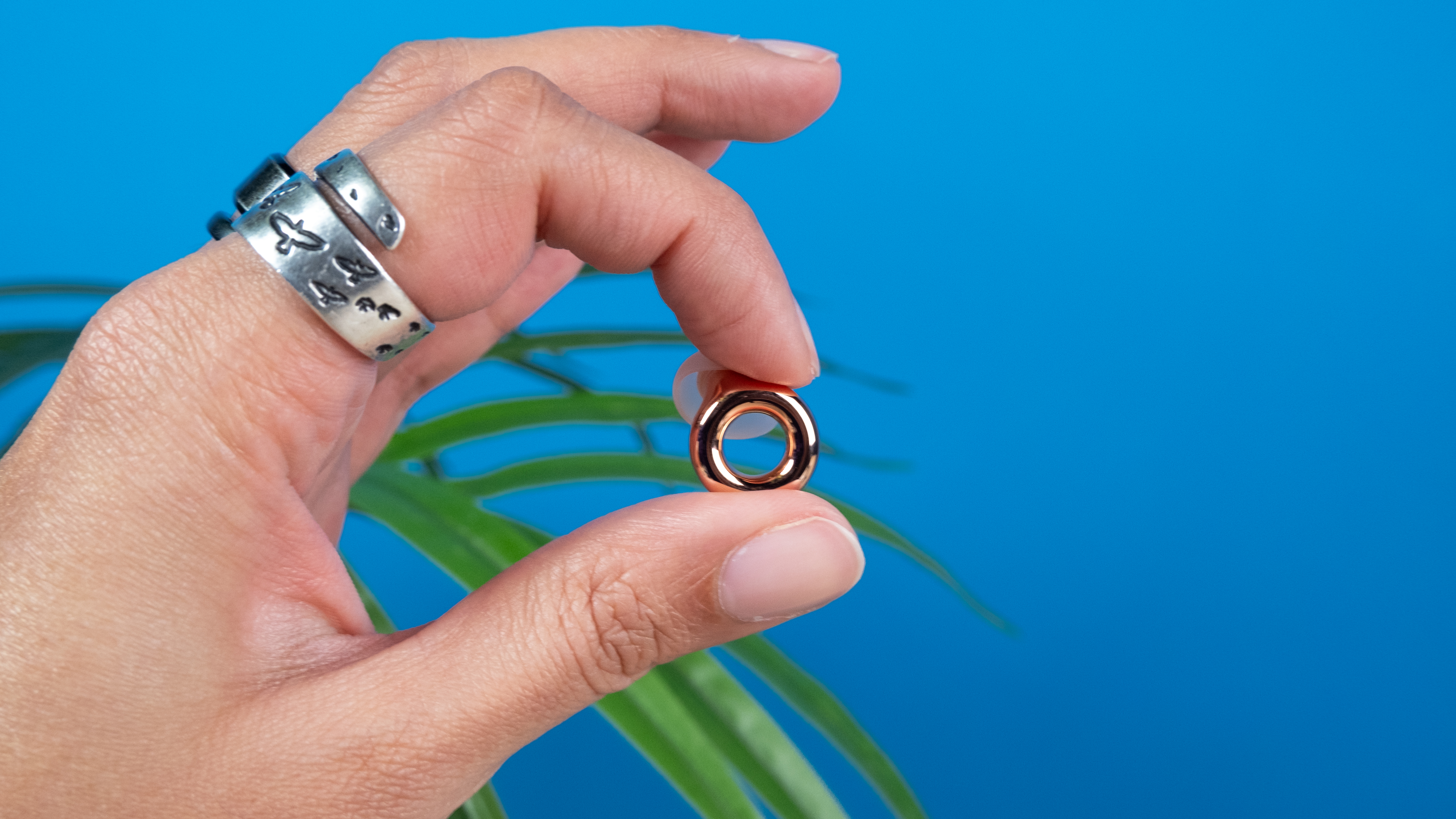 Loop Experience 2 Plus earplugs