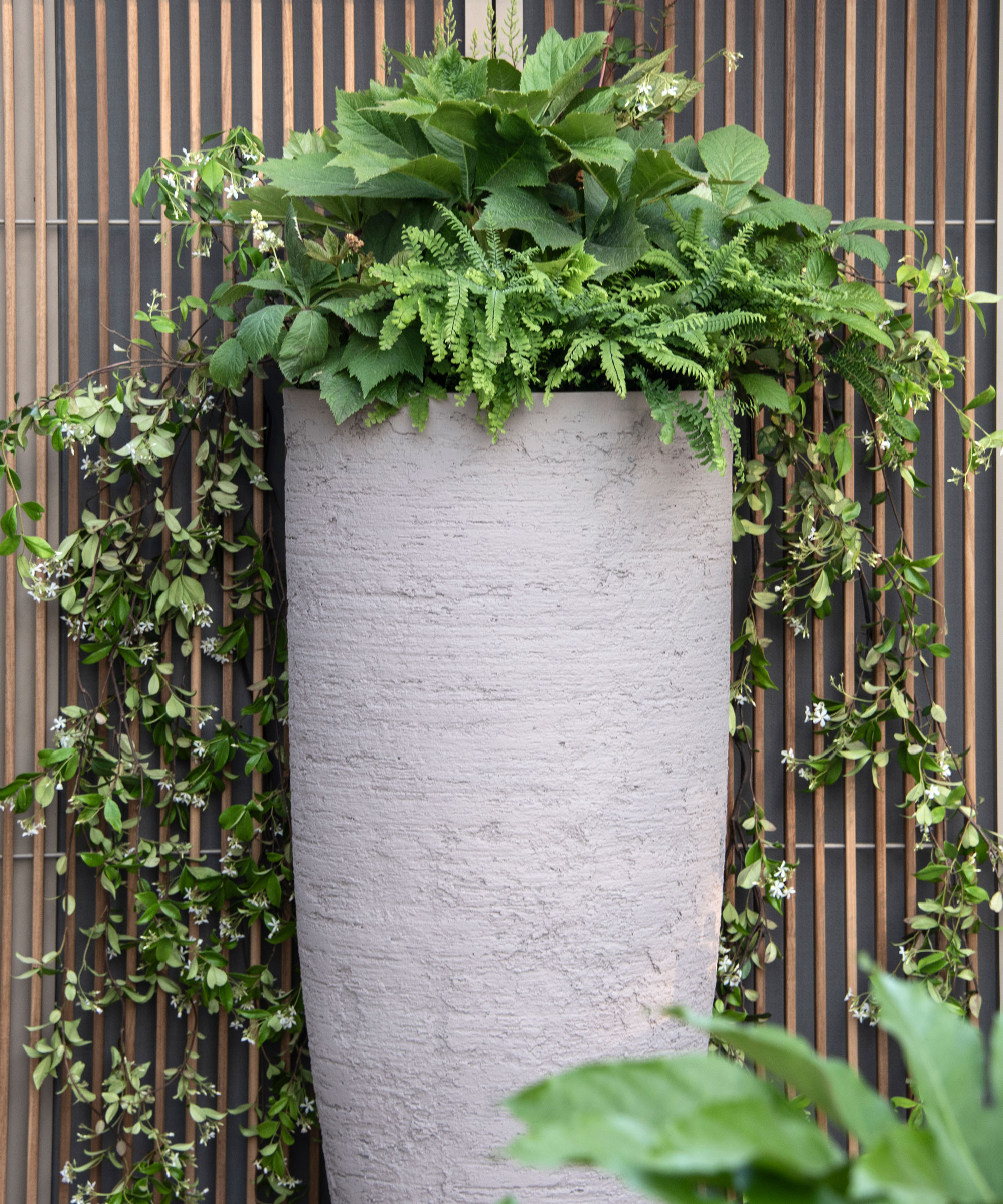 tall concrete planter with ferns and other foliage, with a trellis and climbing plants