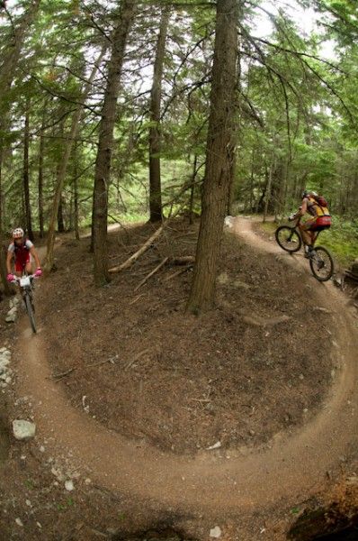 Some BC Bike Race singletrack