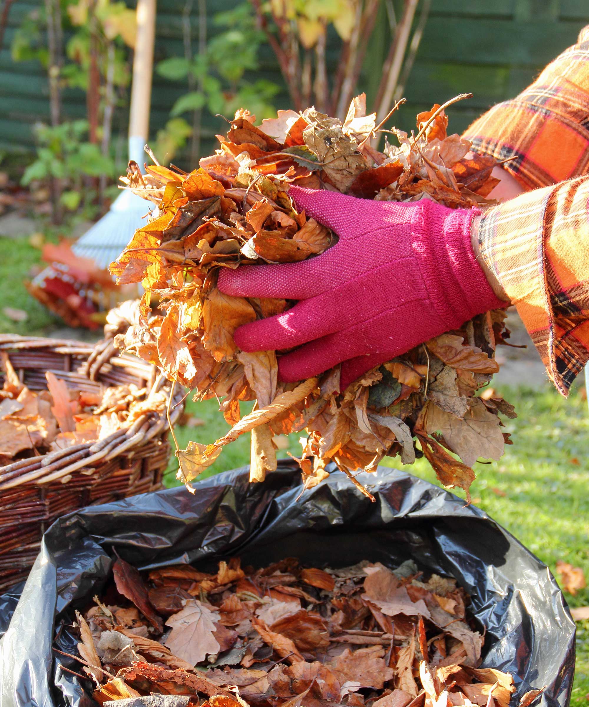 8 types of mulch for gardening success
