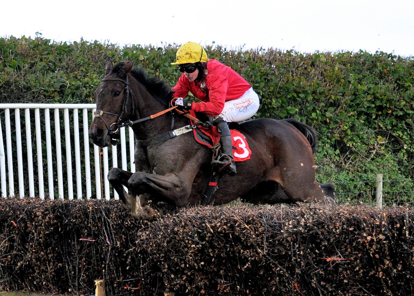 Hawkhurst-2156147HH-e1635788099582.jpg