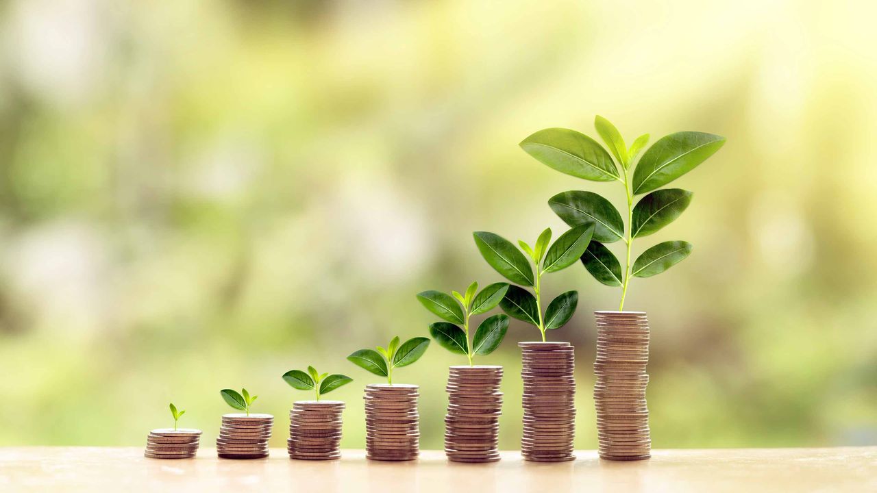 stacks of coins with plants on top