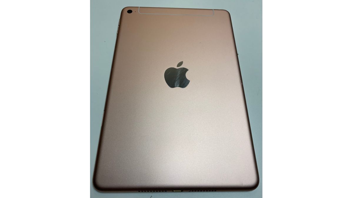 The current iPad Mini has a more visible antenna than this. Credit: @laobaiTD