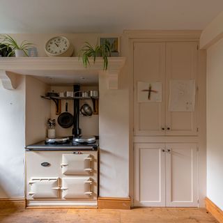 kitchen cabinet with white wall potted plant and watch