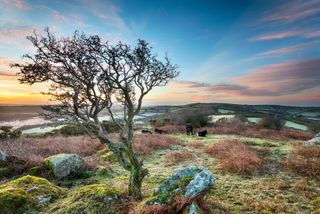 A frosty March sunrise at Helman Tor, Cornwall