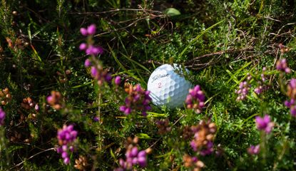 How Often Should You Change Your Golf Ball