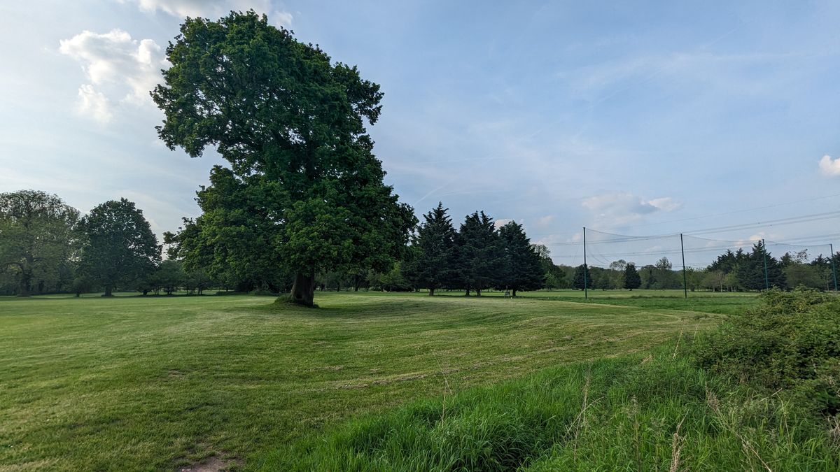 200 photos google pixel 8a vs google pixel 6 pro