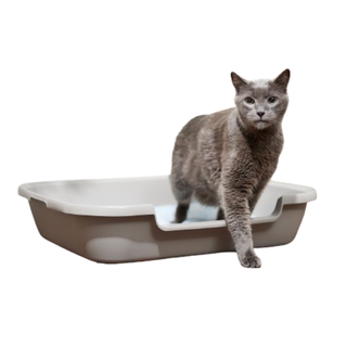 Frisco Senior and Kitten Cat Litter Box, one of the best cat litter boxes