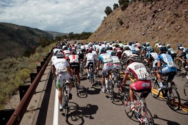 The bunch making its way up one of today's climbs.