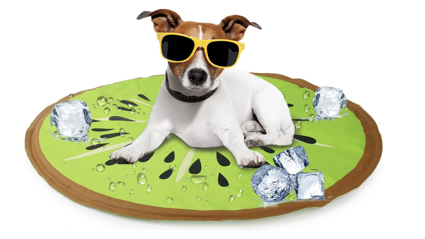 Terrier on kiwi cooling mat