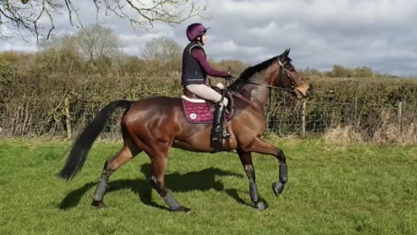 Helite Zip&amp;rsquo;In 2 Airbag inside Helite Airshell Prestige Vest Outer worn over a body protector while cross-country schooling