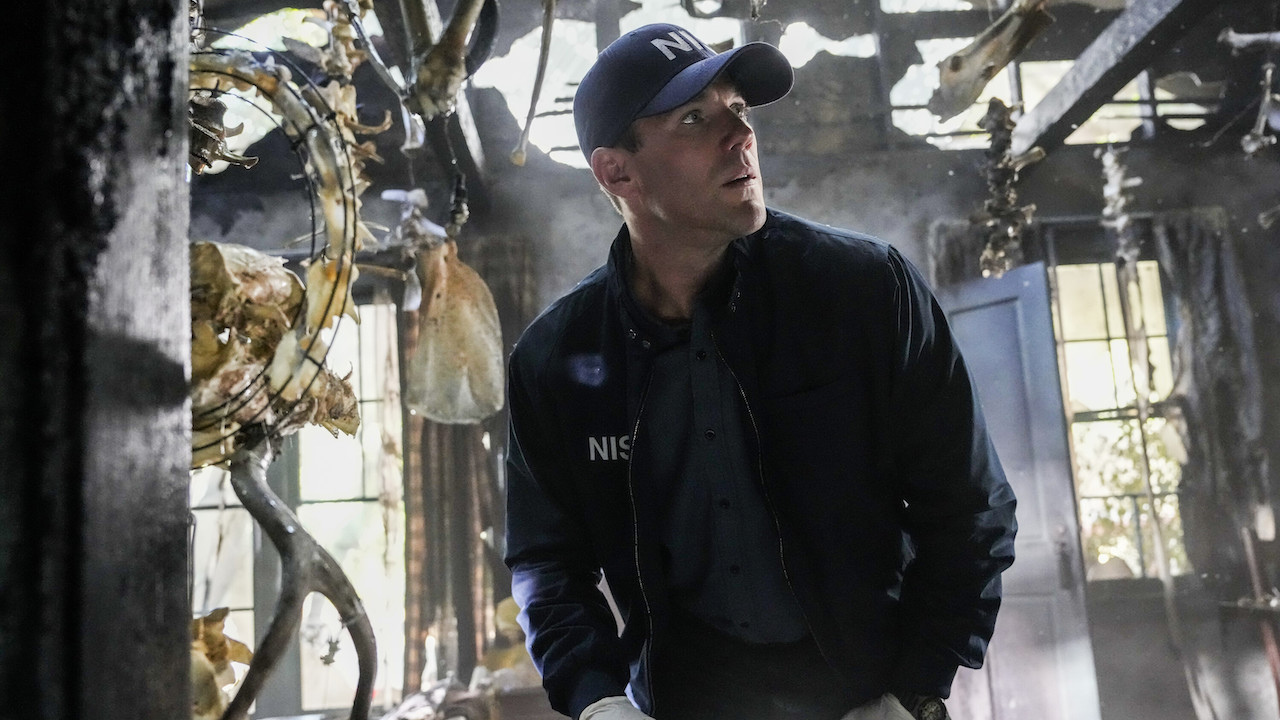 NCIS: Origins’ Austin Stowell Actor Explains Why One Of The Main Female Leads Won’t Be Gibbs’ Love Interest, And It Makes A Lot Of Sense