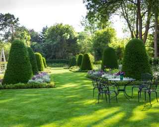Garden ideas showing a manicured lawn and shaped hedges in the summer