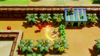 The Legend of Zelda: Link’s Awakening